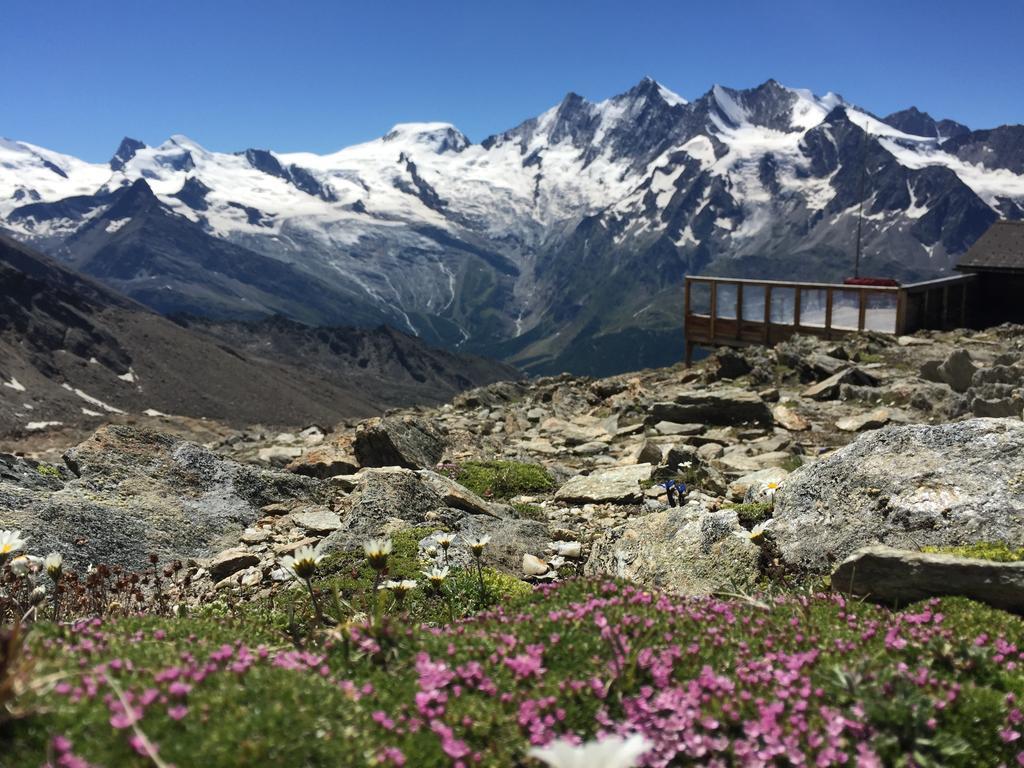 Chalet Alpentraum, Alte Gasse 20 Saas-Grund Kültér fotó